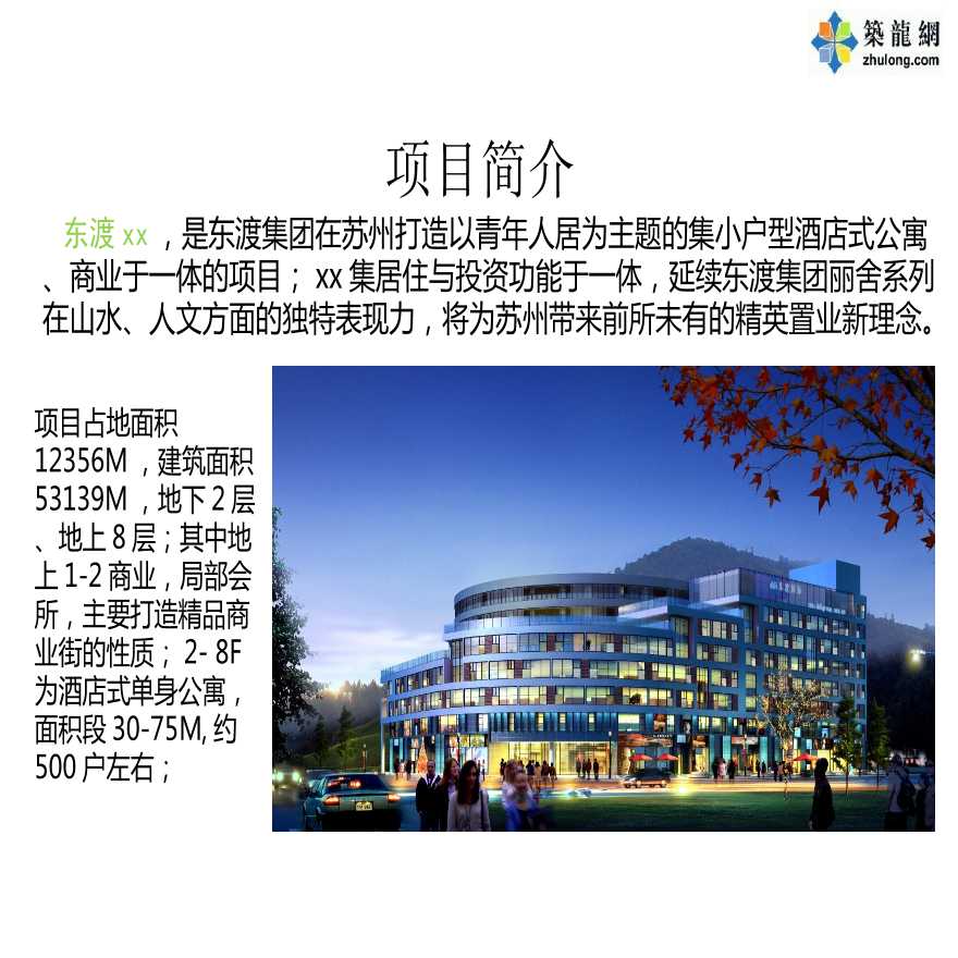 [上海]小型酒店式公寓项目营销策略报告-图二