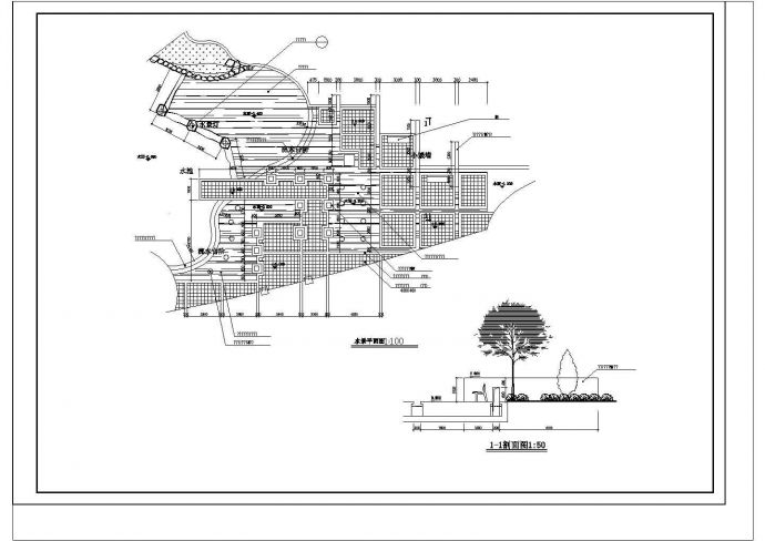 某地区广场水景设计平面图 树景剖面图_图1