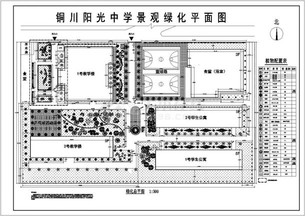 某中学校园绿化设计平面图-图一