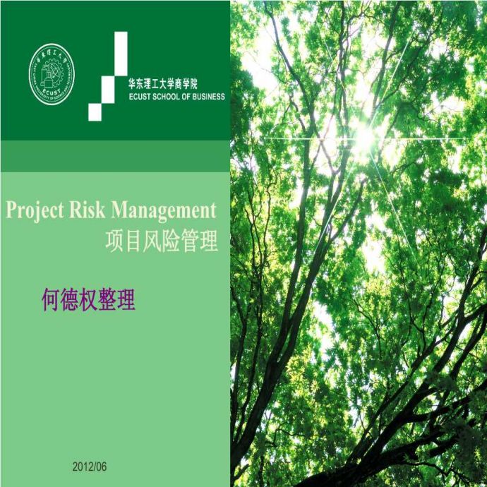 [上海]知名高校项目风险管理与质量管理讲义（共341页）_图1