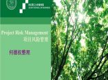 [上海]知名高校项目风险管理与质量管理讲义（共341页）图片1