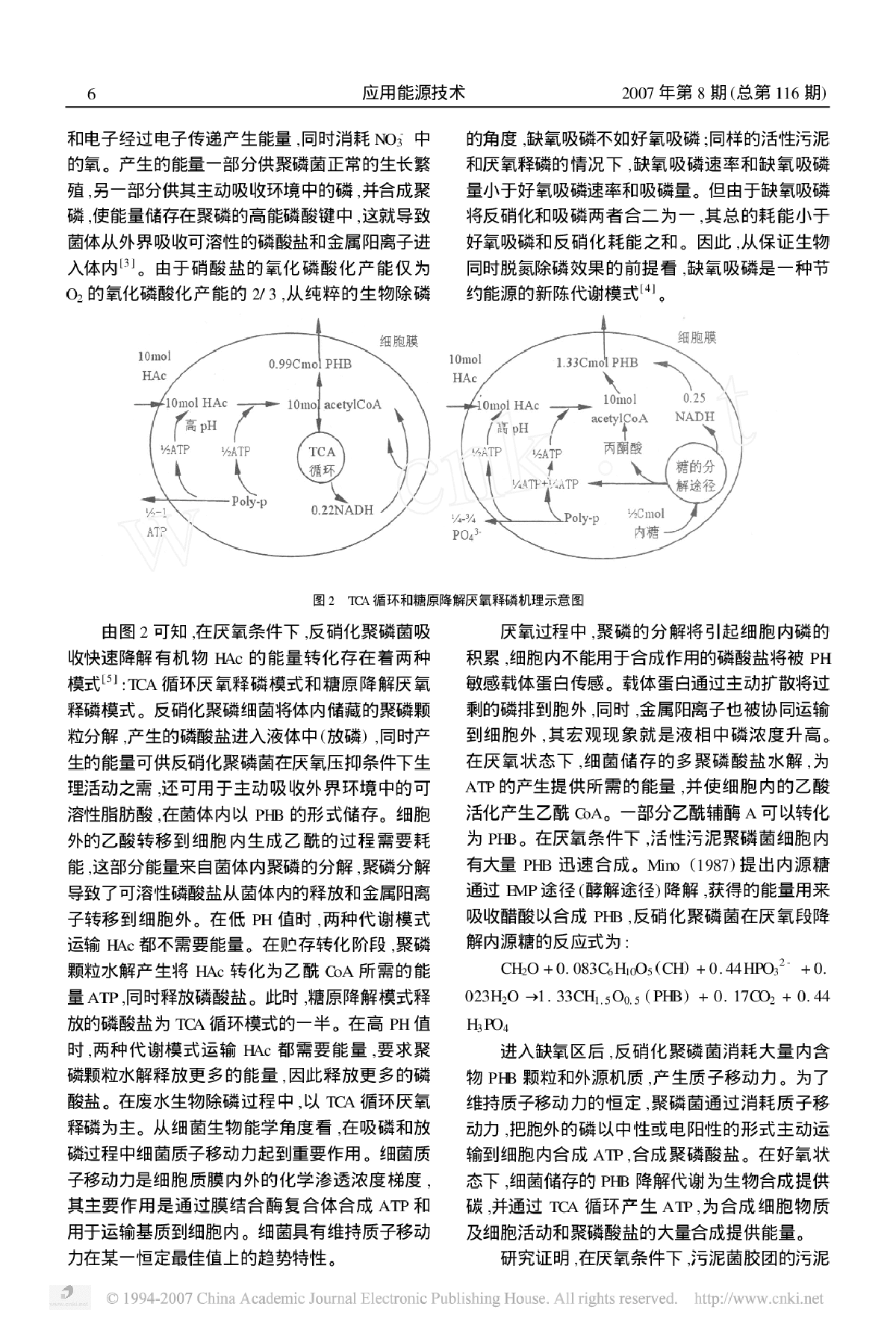 反硝化除磷工艺及其微生物原理-图二