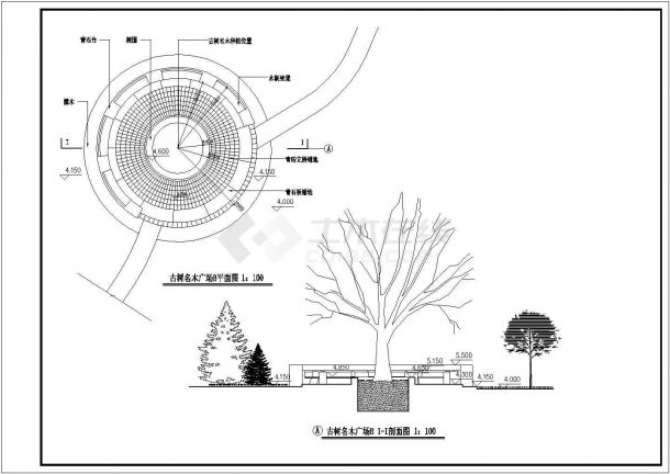某古树名木小广场景观规划设计cad施工图纸-图一