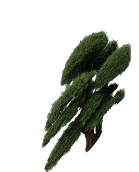 墨绿2D造型景观树组合su模型-图二