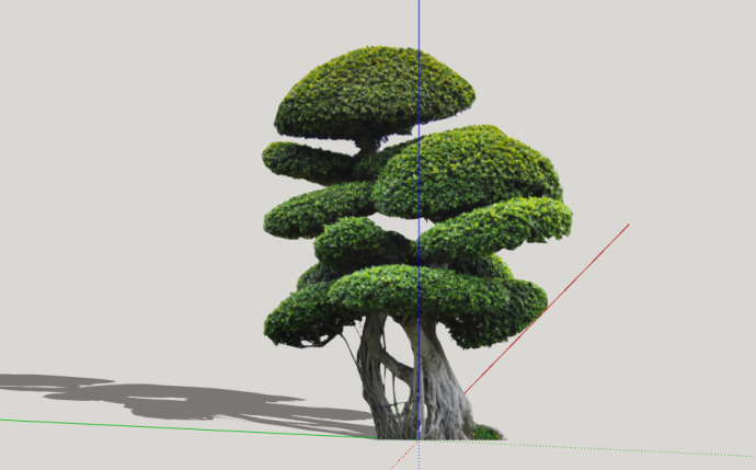 造型优美茂密景观树su模型_图1