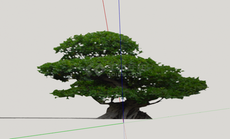 深绿茂密粗壮的造型树su模型-图二