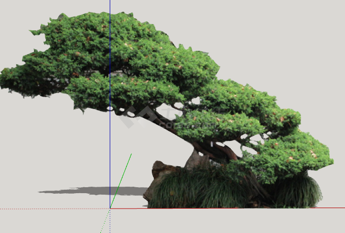 斜状山顶造型松树组合 su模型-图一