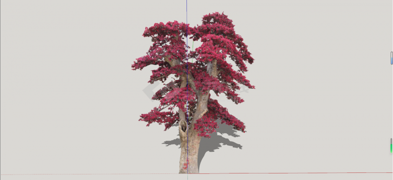现代红花继木造型树su模型-图二