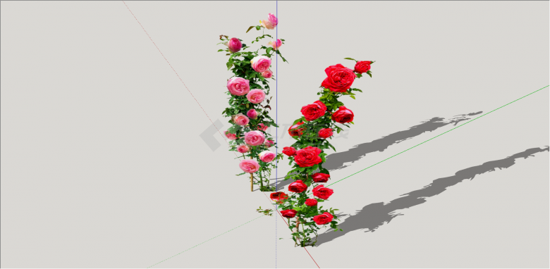 双株粉色和红色玫瑰su模型-图二