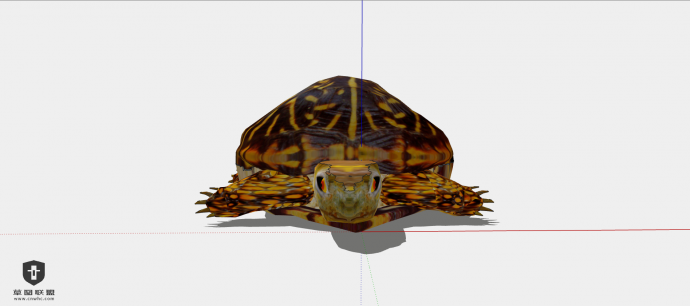一只身体有金色花纹的乌龟su模型_图1