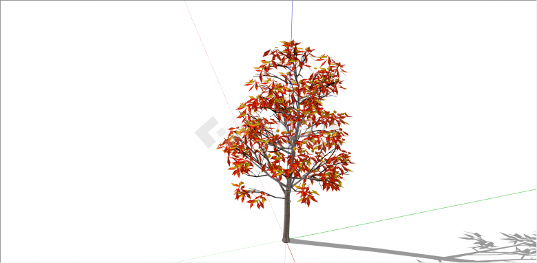 多种颜色树叶的红枫 su模型-图二
