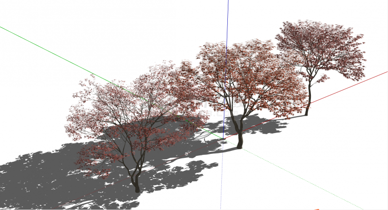 日式红枫景观树枫叶su模型-图二