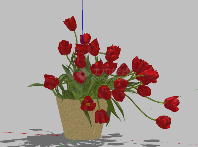 红色鲜艳花朵的花瓶su模型-图二