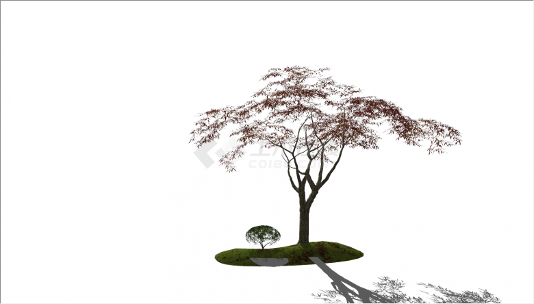 新中式小叶细高景观树su模型-图二