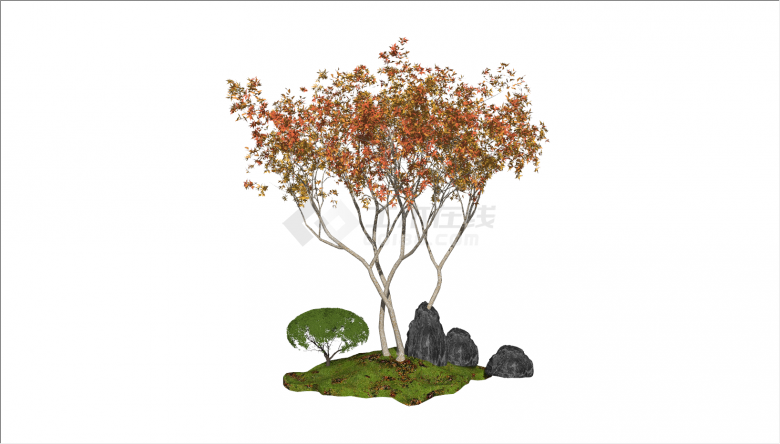 新中式堆石细枝景观树su模型-图二
