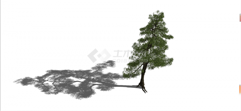 新中式罗汉松景观树su模型-图二