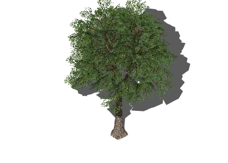 简单一团绿叶植物树木su模型-图二