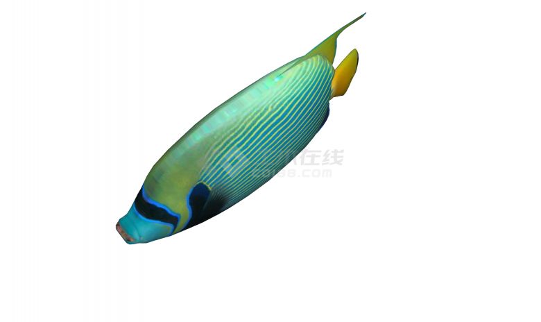 黄色条纹水族馆鱼类动物su模型-图二