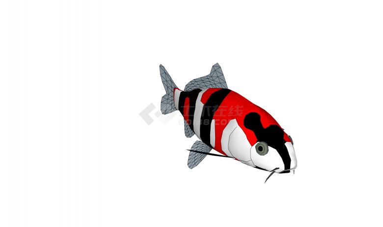 红黑白三色锦鲤水族馆鱼类动物su模型-图二