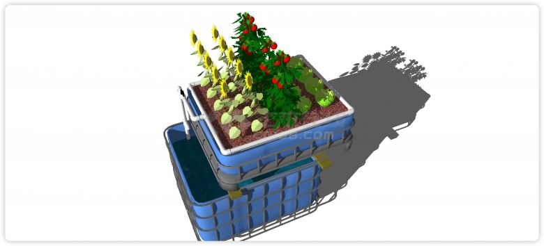 向日葵有机蔬菜种植器皿su模型-图二