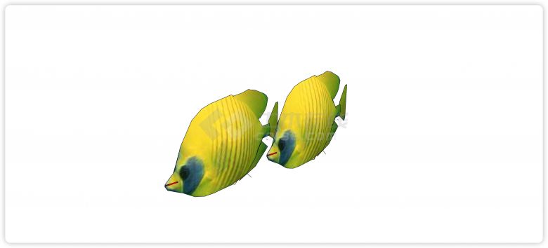 黄身绿尾巴热带鱼水族馆鱼类动物组合su模型-图二