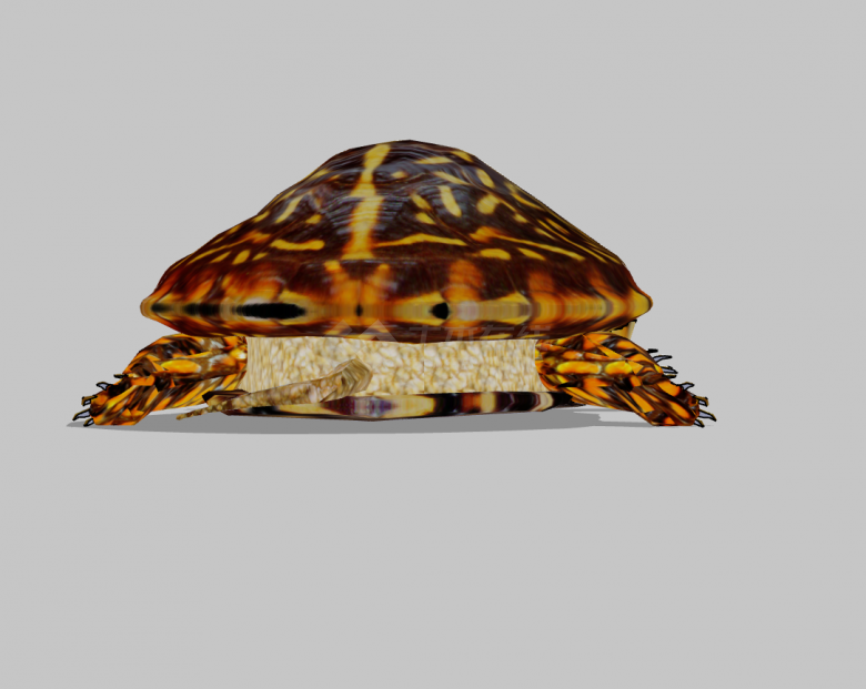 傲慢乌龟水族馆鱼类动物组合SU模型-图二
