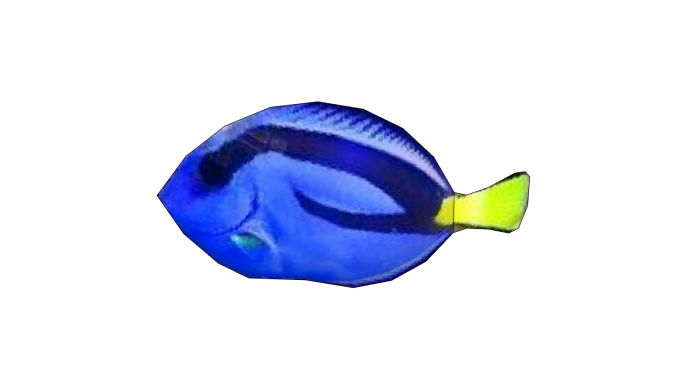 水族馆蓝色鱼类动物su模型_图1