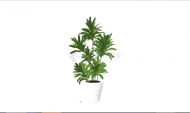 花盆是白色的绿植是茂盛的盆栽su模型-图二