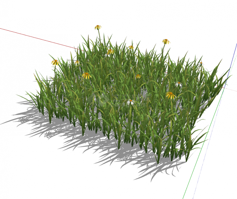 矩形小雏菊绿色是草坪su模型-图二