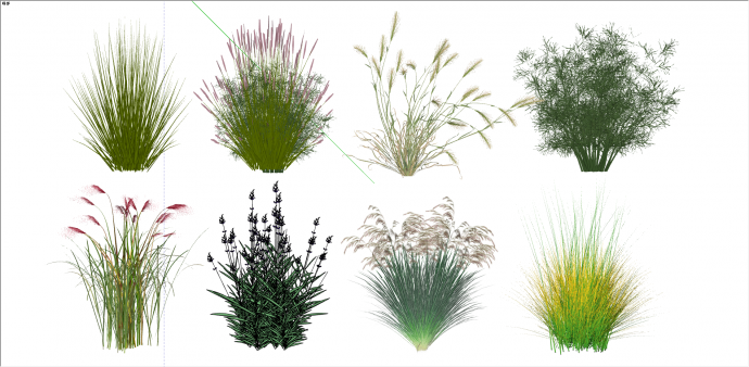 芦苇水生植物景观草su模型_图1