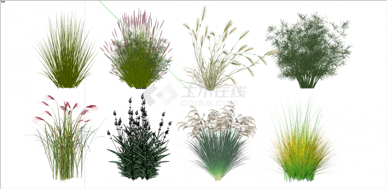 芦苇水生植物景观草su模型-图一