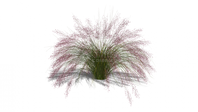繁茂水生植物su模型-图二