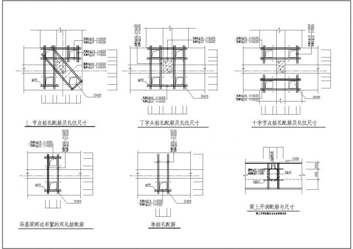 桩孔配筋及孔位尺寸详细设计CAD图纸_图1