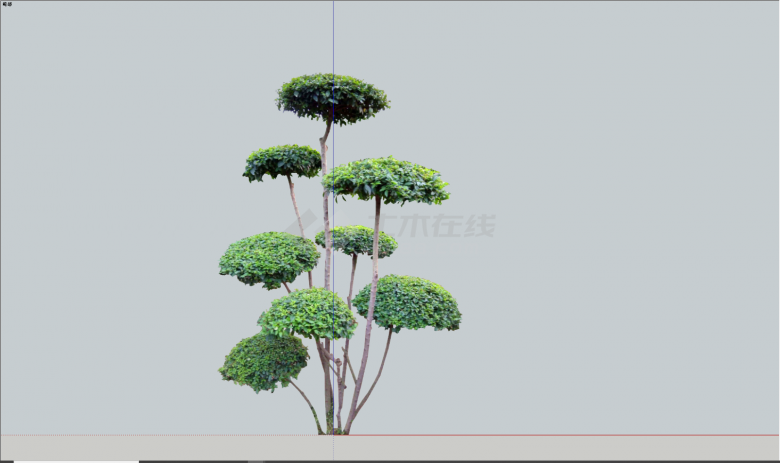 现代多枝公园绿丝带造型树su模型-图二