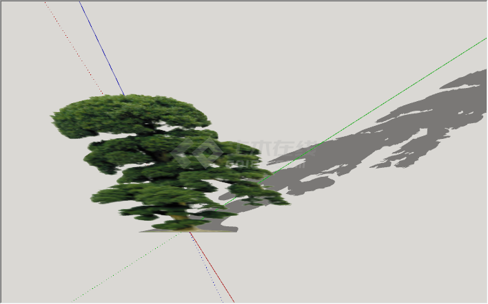 现代景观绿丝带造型松树su模型-图二