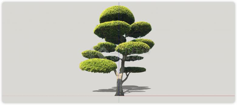 椭圆形造型优美造型树su模型-图一