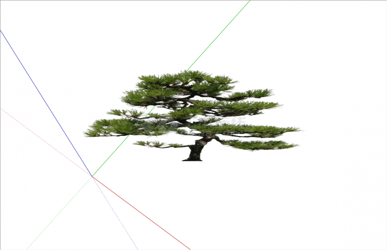 现代简约松树2D造型景观树组合su模型-图一