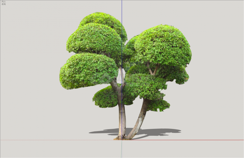 球状精美2D造型景观树组合su模型-图二
