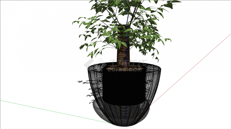 黑色带网罩半椭圆绿植盆栽su模型-图一