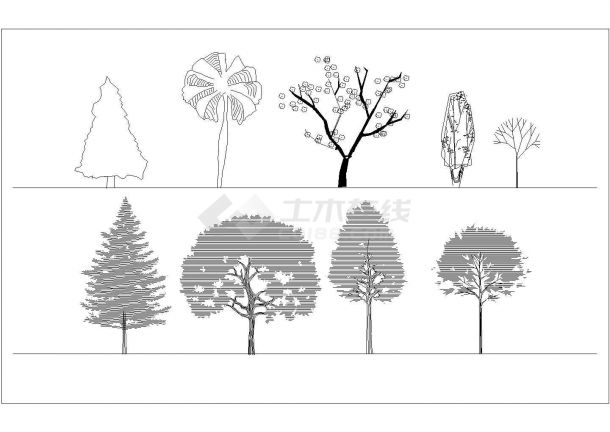某园林景观植物CAD详细构造立面图库-图一