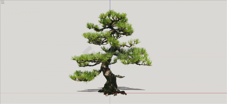 中式现代造型松树su模型-图一