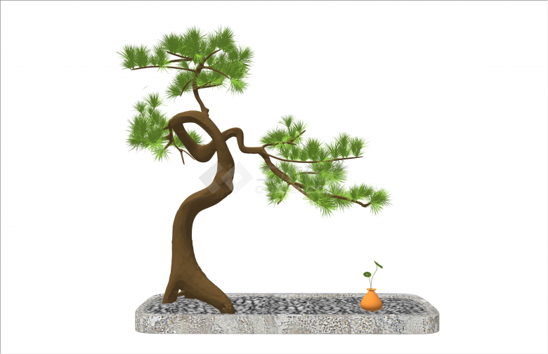 婀娜多姿现代罗汉松造型树su模型-图二