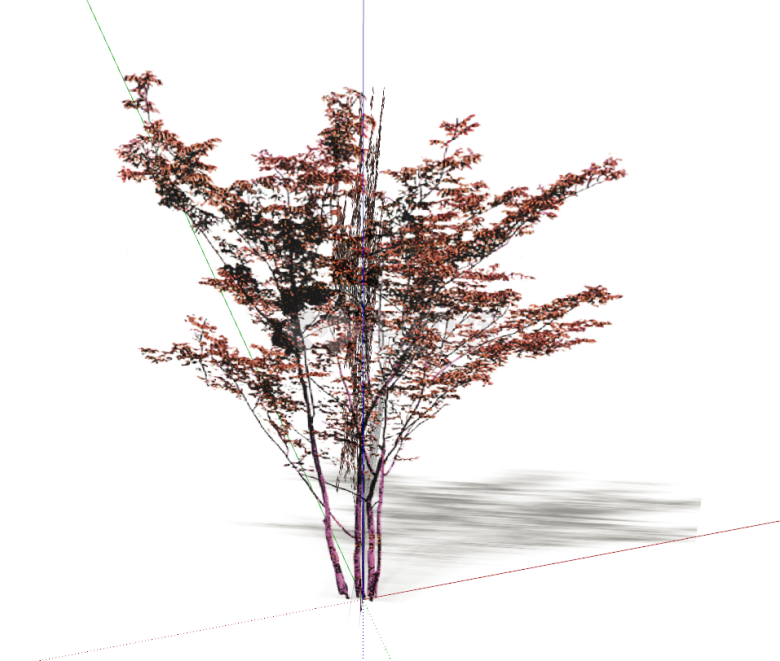 红色树干树枝和树叶的植物 su模型-图一