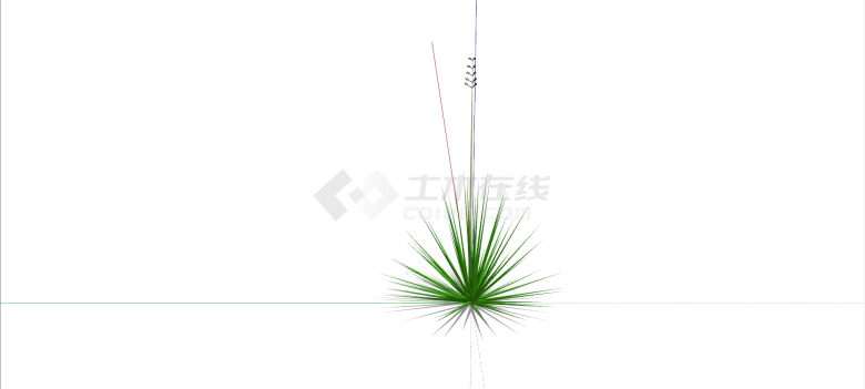 龙舌兰科吹上花卉灌木su模型-图二