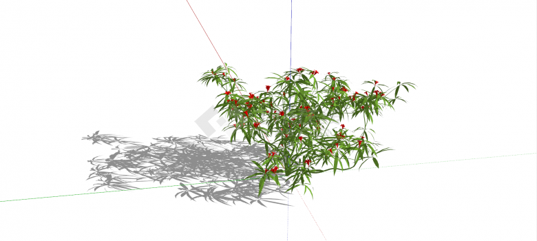 红色凤仙花花卉灌木su模型-图二