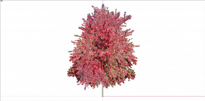 现代单棵红花树植物su模型_图1