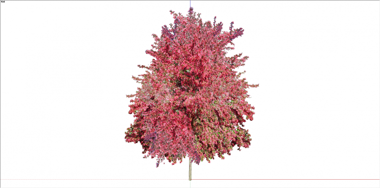 现代单棵红花树植物su模型-图一
