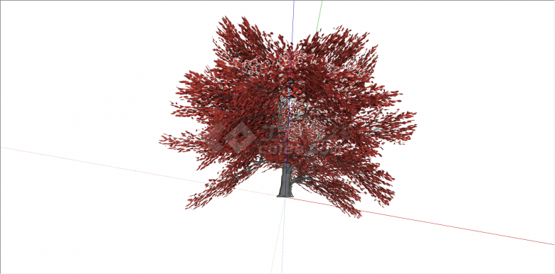 观赏性红叶树植物 su模型-图二