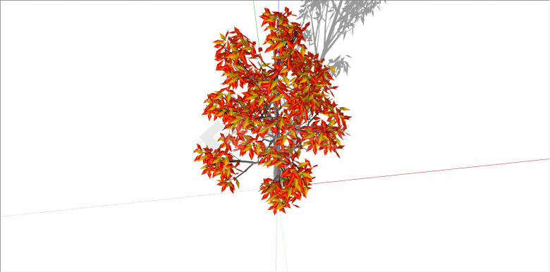 红褐双色叶观赏性树su模型-图二