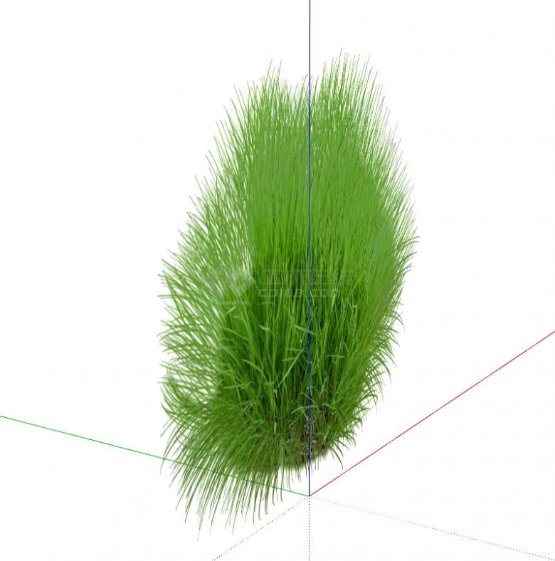 欣欣向荣的绿色草丛su模型-图二